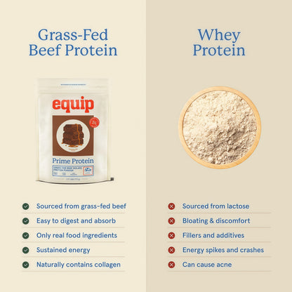 Equip Prime Chocolate Protein Powder - Gut-Friendly, No Sugar Protein Shake Powder with Grass-Fed Beef & Natural Collagen - Rich & Creamy Mix - 21g Per Serving - Whey & Dairy-Free (30 Scoops)